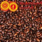 Weyermann Carafa Special 1