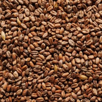 Joe White Roasted Wheat